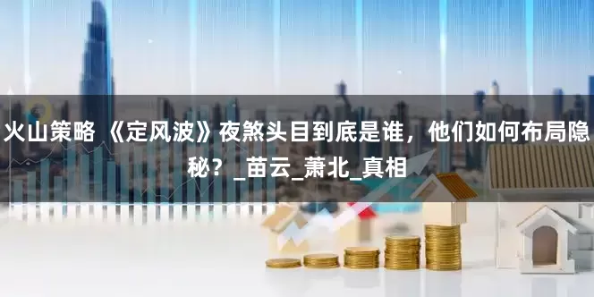 火山策略 《定风波》夜煞头目到底是谁，他们如何布局隐秘？_苗云_萧北_真相