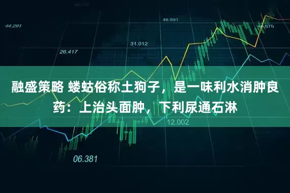 融盛策略 蝼蛄俗称土狗子，是一味利水消肿良药：上治头面肿，下利尿通石淋
